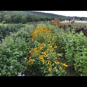 Meet your Posher, Alana